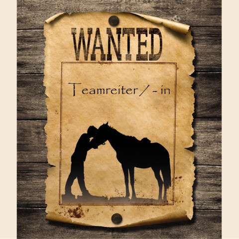 teamreiter gesucht