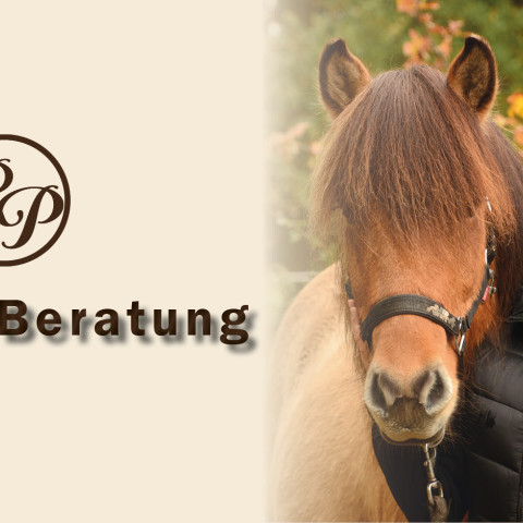 online-futterberatung