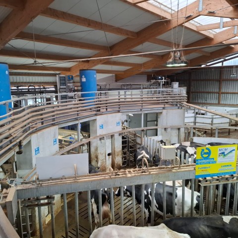 batch-milking-system