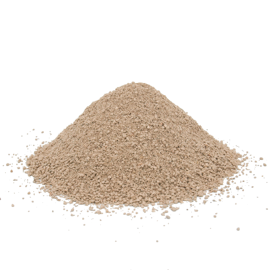 Kieselgur