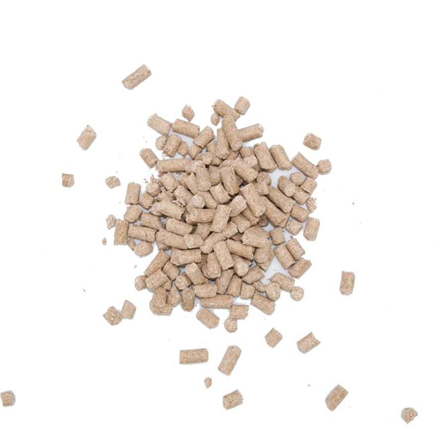 Ruppiner Biotin Pellets