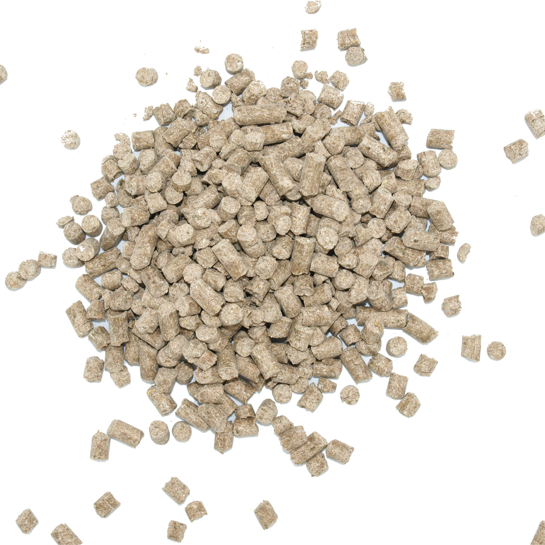 pellets ruppiner gastro-care