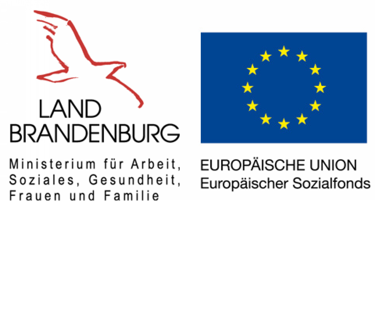 Gefördert durch das Ministerium für Arbeit, Soziales, Frauen und Familie aus Mitteln des Europäischen Sozialfonds und des Landes Brandenburg