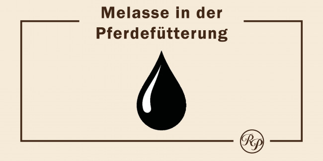 melasse in der pferdefütterung