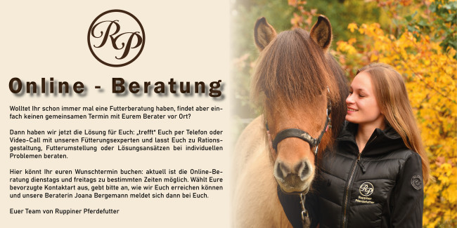 neu: online - beratung