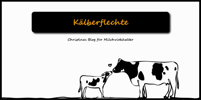 kälberflechte